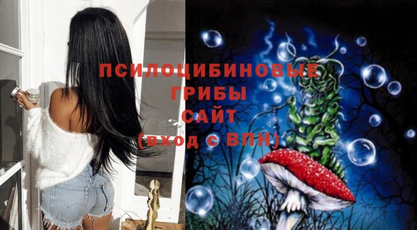 spice Армянск