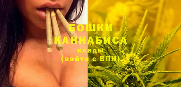 spice Армянск