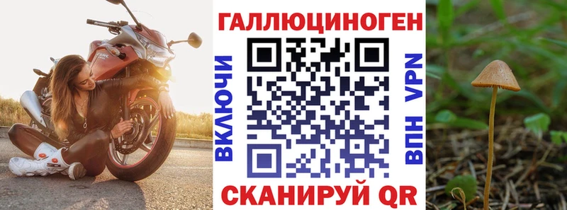 Псилоцибиновые грибы прущие грибы  наркошоп  MEGA маркетплейс  Солигалич 